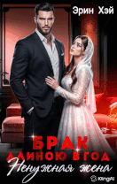 Читать онлайн «Ненужная жена. Брак длиною в год»  Эрин Хэй