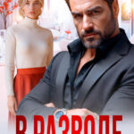 «В разводе. Без памяти влюбленный бывший» Анна Томченко