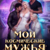 «Мои космические мужья. Выбор вслепую» Оксана Рассветная , Ася Амурр